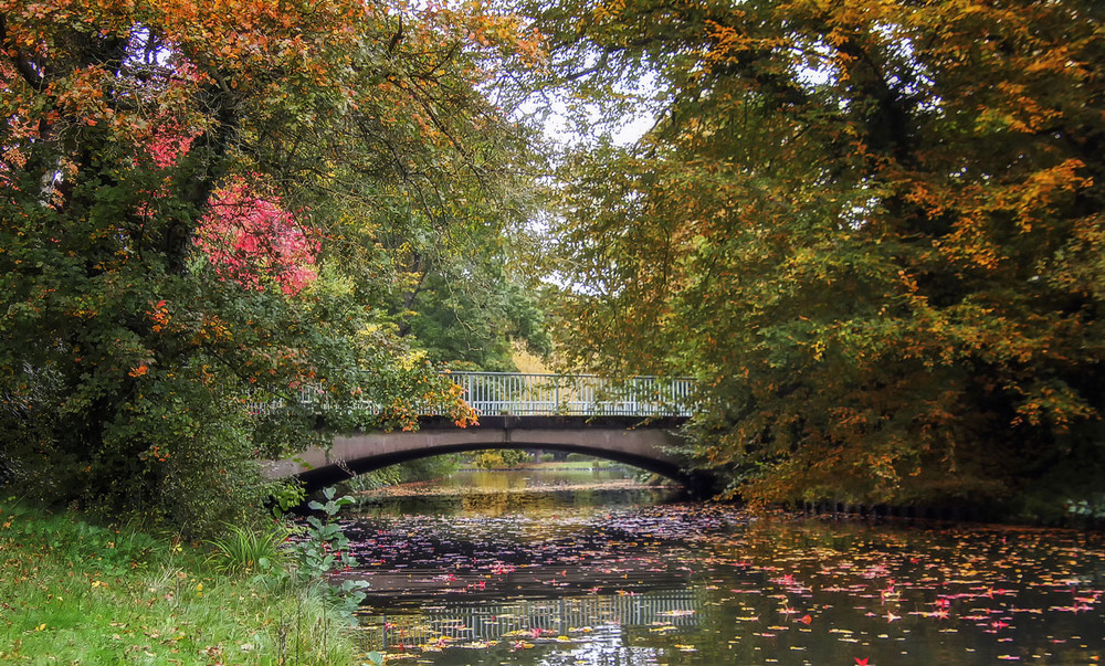 Фотографія Краски осеннего парка / Andronik Aleksander / photographers.ua