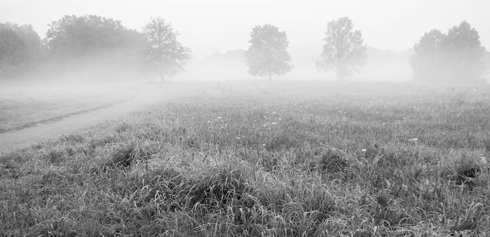 Фотографія **** / Andronik Aleksander / photographers.ua