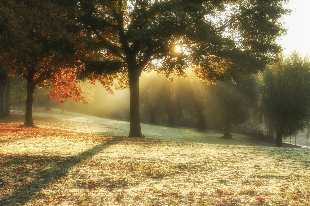 Фотографія ***** / Andronik Aleksander / photographers.ua