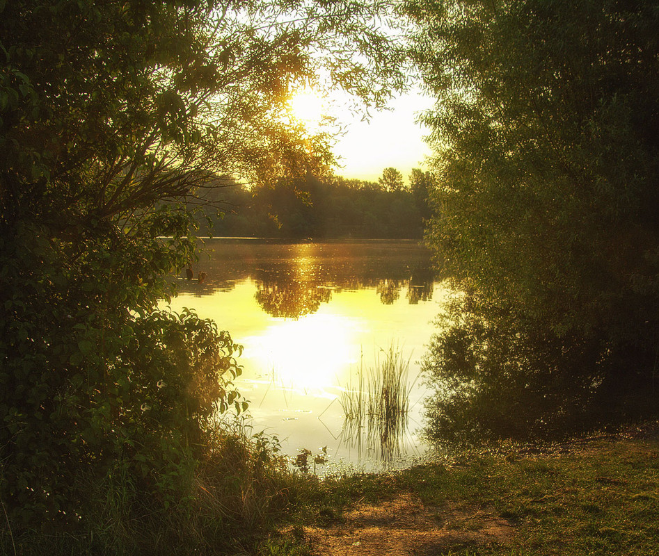 Фотографія Утро / Andronik Aleksander / photographers.ua