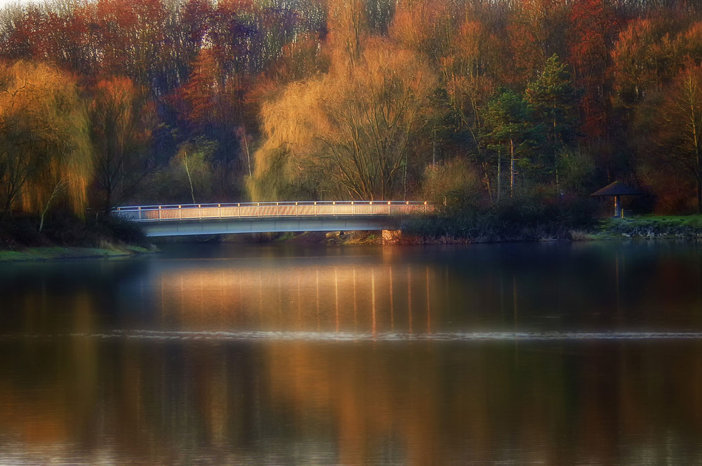 Фотографія ***** / Andronik Aleksander / photographers.ua