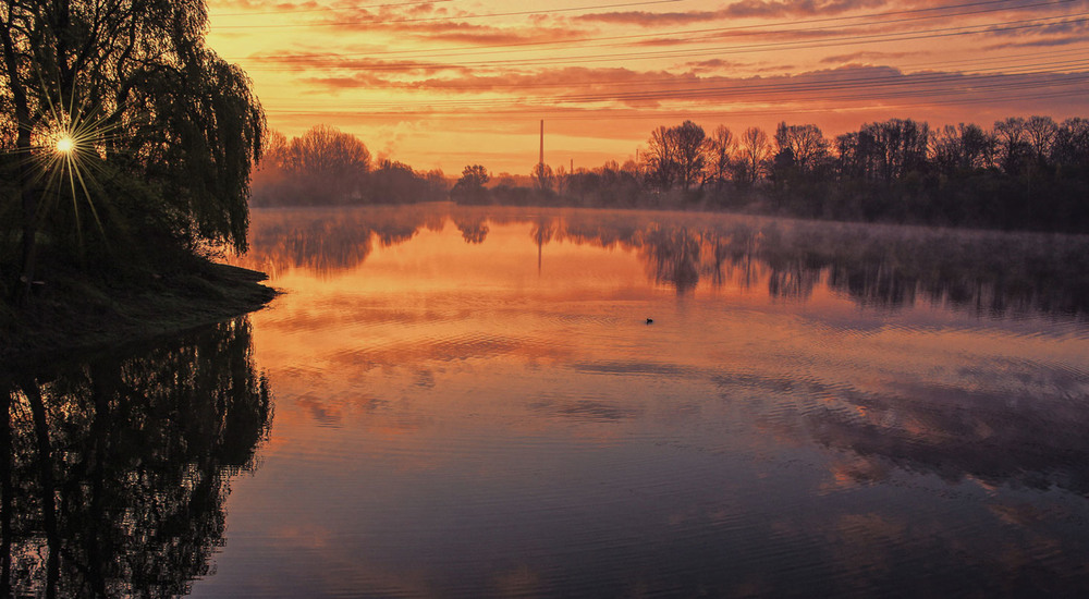 Фотографія Утро на озере / Andronik Aleksander / photographers.ua
