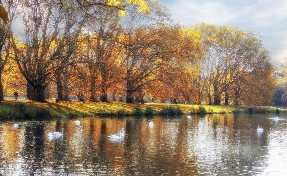 Фотографія В одном из  парков Кельна / Andronik Aleksander / photographers.ua