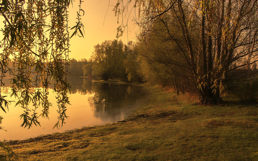Фотографія Утром на озере / Andronik Aleksander / photographers.ua