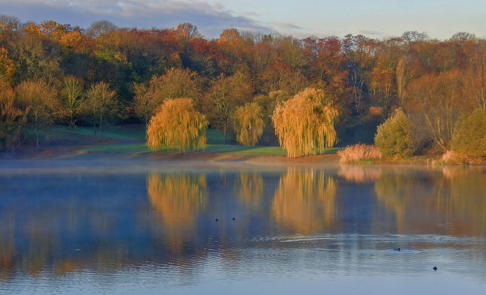 Фотографія ***** / Andronik Aleksander / photographers.ua