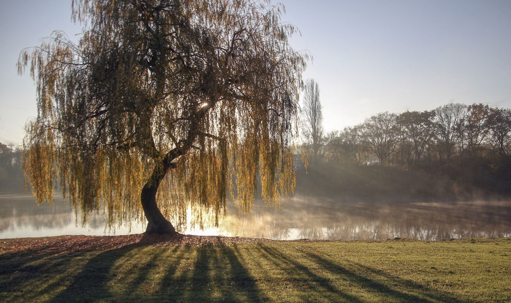 Фотографія ***** / Andronik Aleksander / photographers.ua