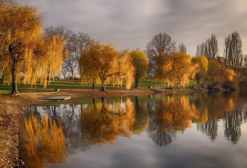 Фотографія **** / Andronik Aleksander / photographers.ua