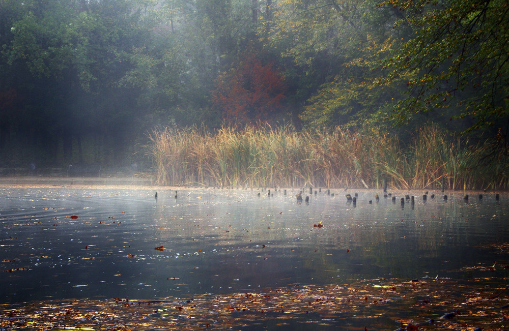 Фотографія **** / Andronik Aleksander / photographers.ua