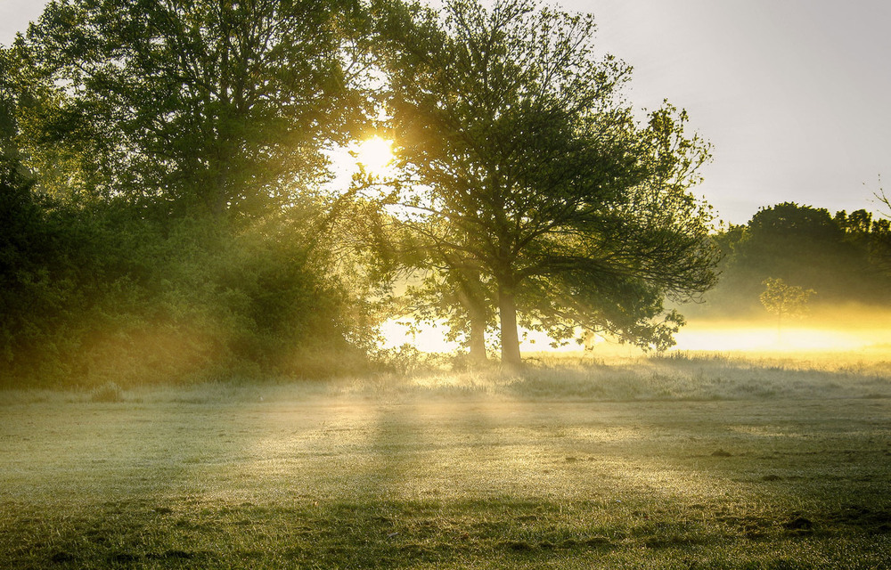 Фотографія ***** / Andronik Aleksander / photographers.ua