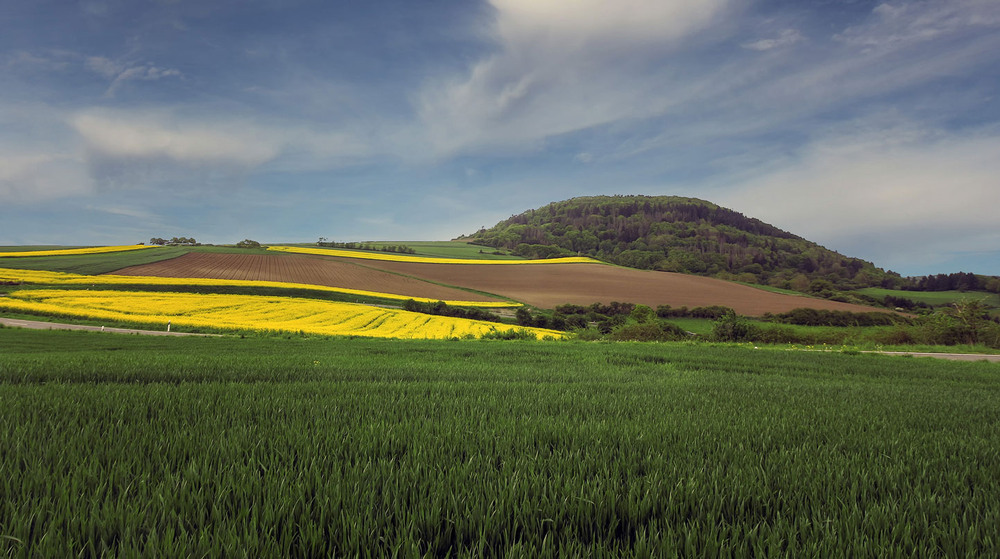 Фотографія ***** / Andronik Aleksander / photographers.ua
