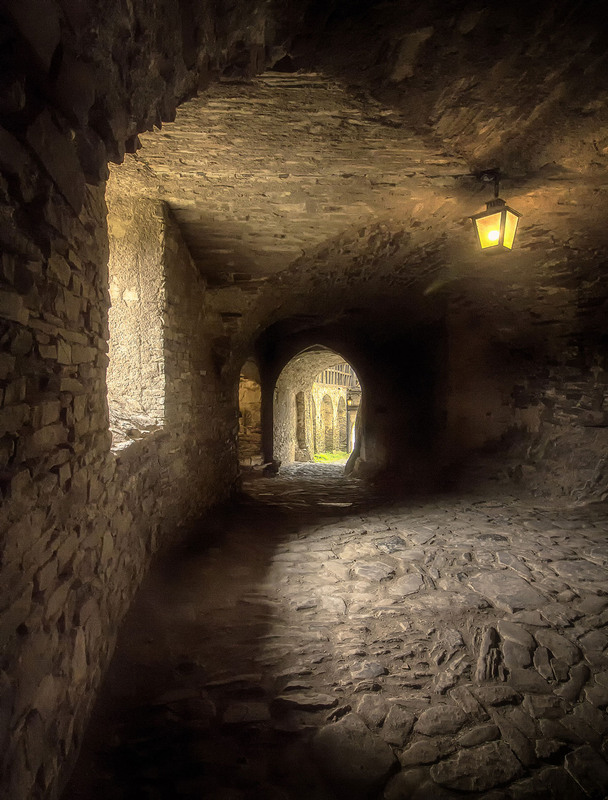 Фотографія В замке Бюрресхайм / Andronik Aleksander / photographers.ua