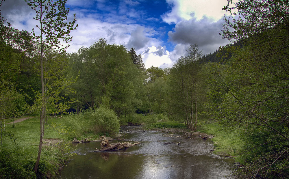 Фотографія ***** / Andronik Aleksander / photographers.ua