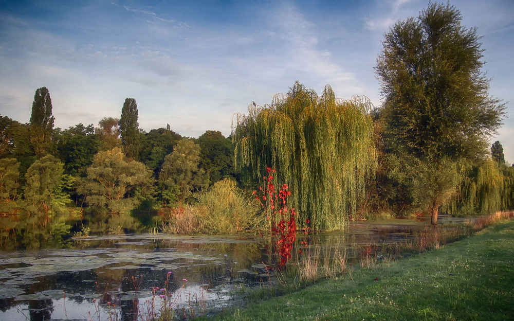 Фотографія Красный лоскут / Andronik Aleksander / photographers.ua