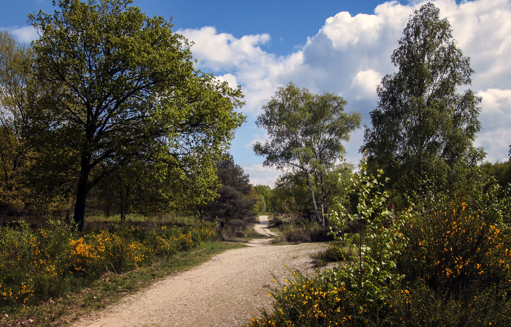 Фотографія ***** / Andronik Aleksander / photographers.ua