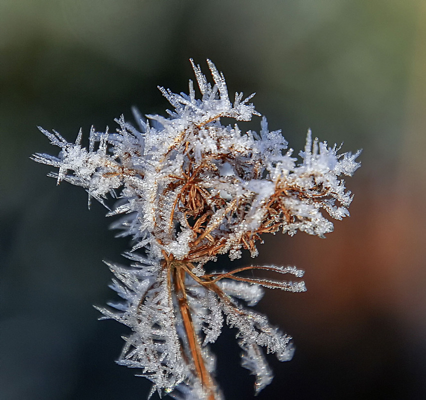Фотографія **** / Andronik Aleksander / photographers.ua