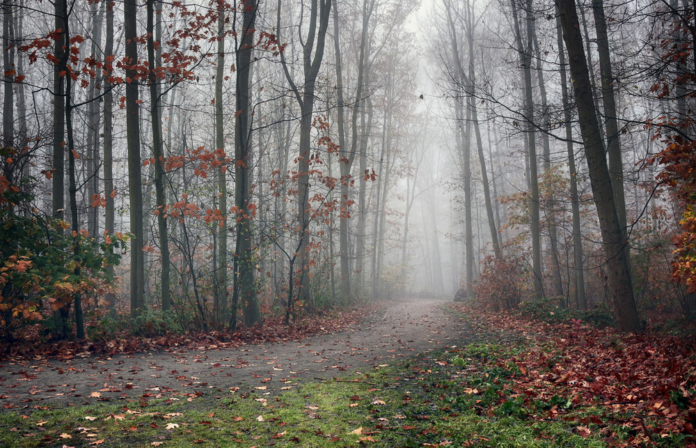 Фотографія ***** / Andronik Aleksander / photographers.ua