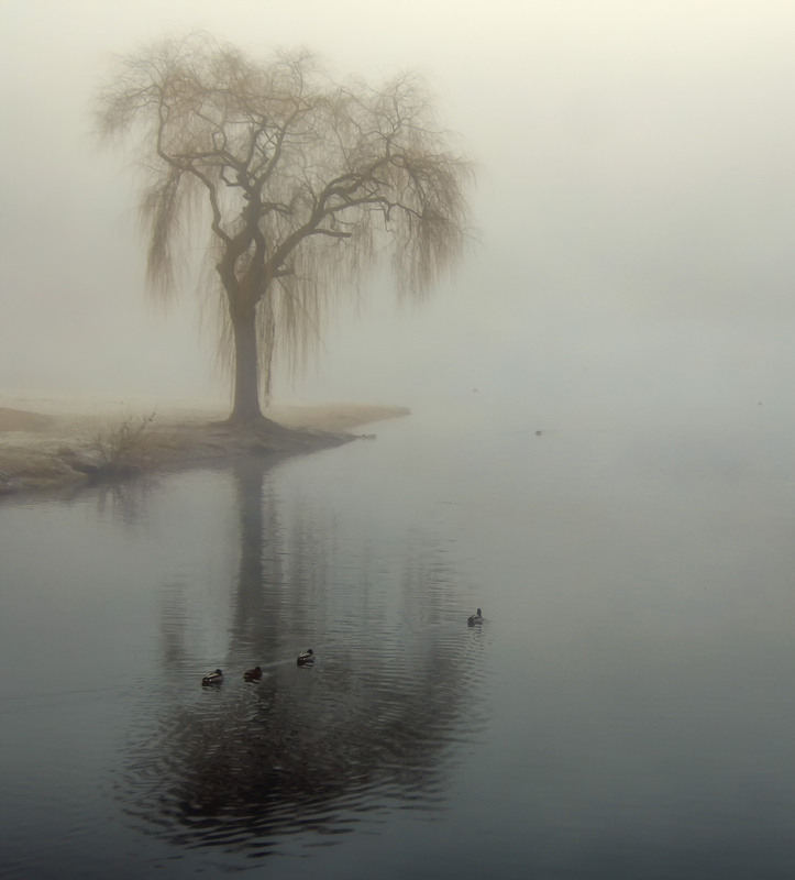 Фотографія ***** / Andronik Aleksander / photographers.ua