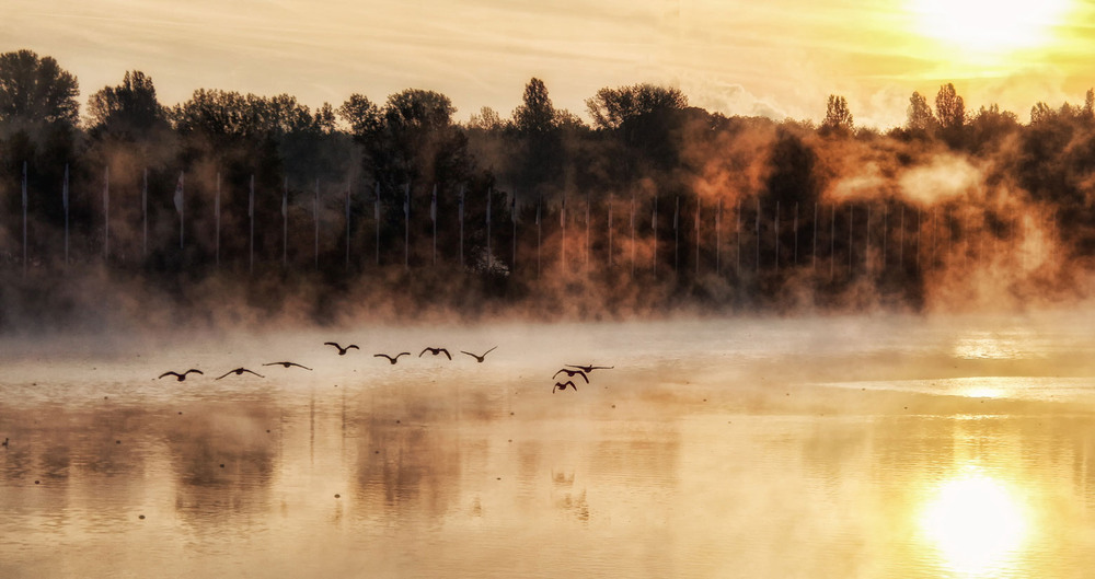 Фотографія Утренний заплыв / Andronik Aleksander / photographers.ua