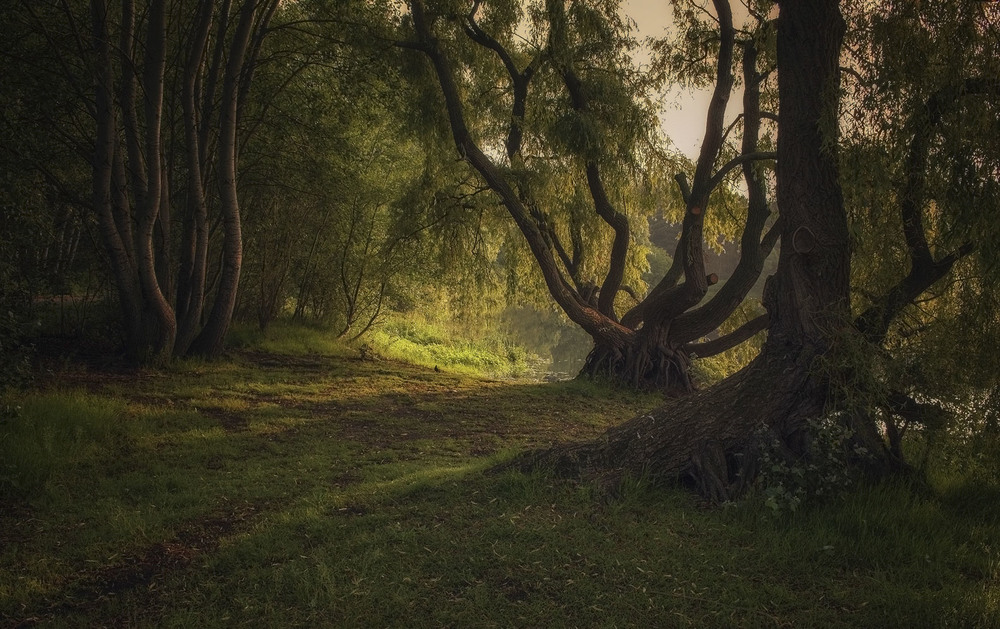 Фотографія Утро на озёрах / Andronik Aleksander / photographers.ua