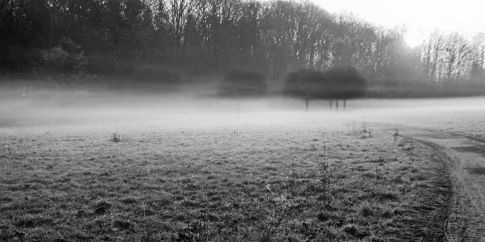 Фотографія ***** / Andronik Aleksander / photographers.ua