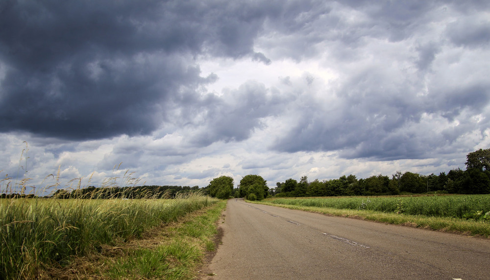 Фотографія Дорога на грозу / Andronik Aleksander / photographers.ua