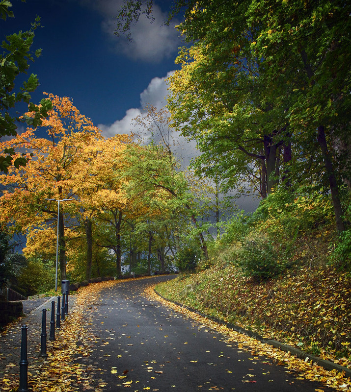Фотографія Дорога в осень / Andronik Aleksander / photographers.ua