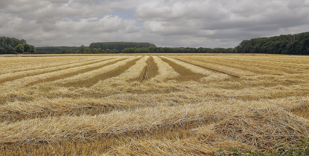 Фотографія ***** / Andronik Aleksander / photographers.ua