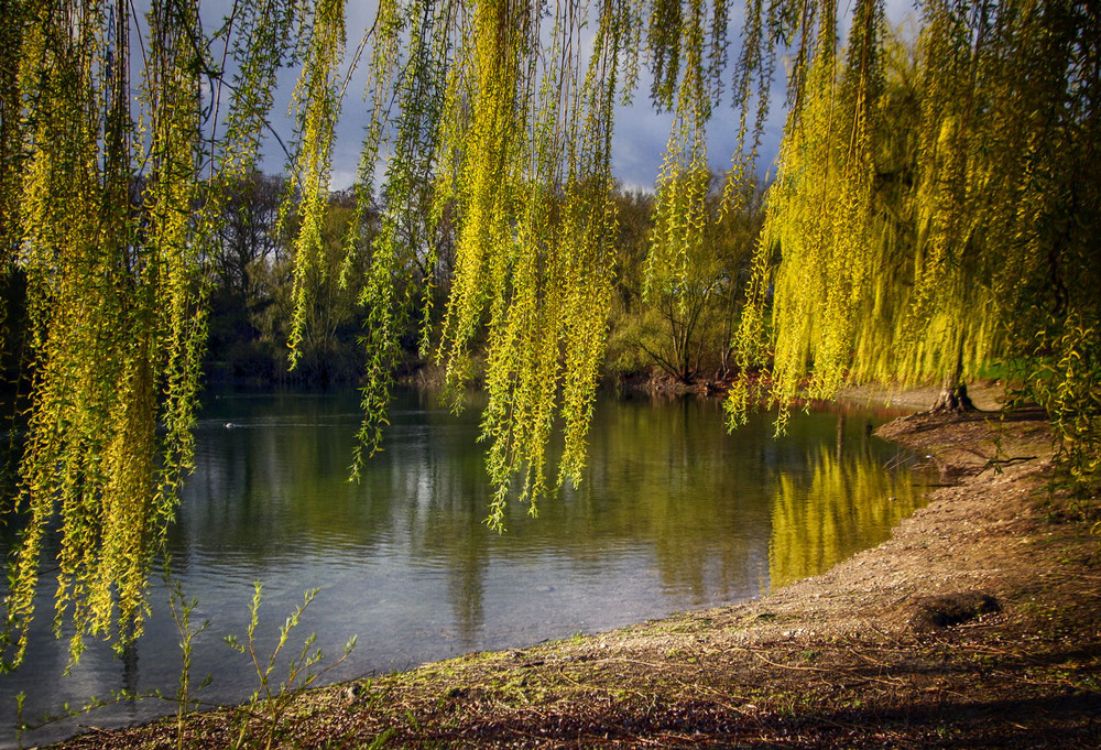 Фотографія ***** / Andronik Aleksander / photographers.ua