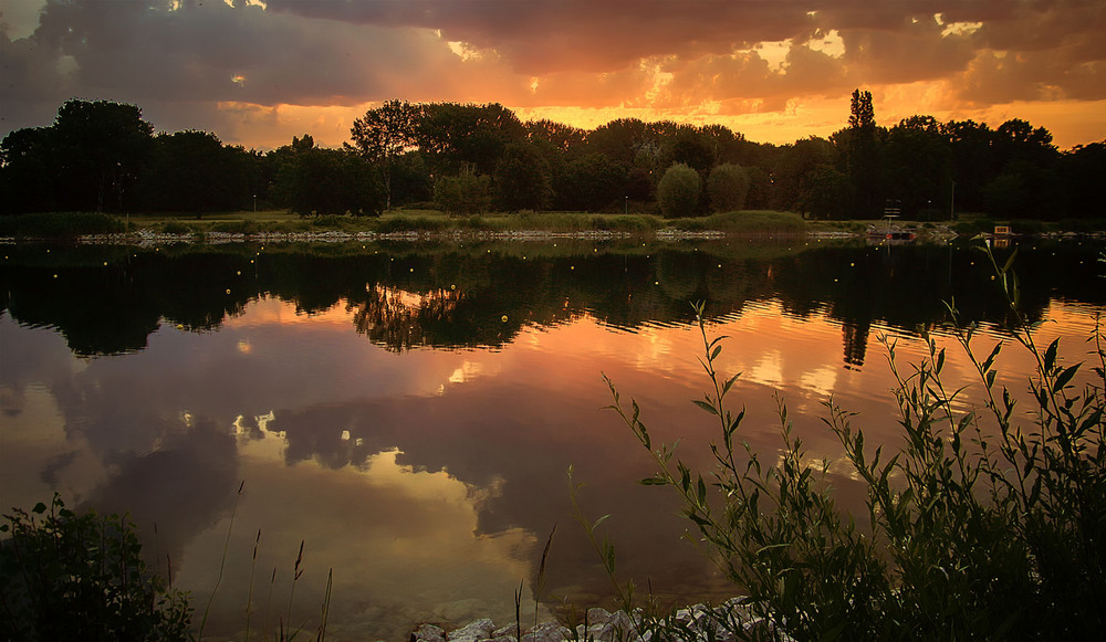 Фотографія Утро на гребном канале / Andronik Aleksander / photographers.ua