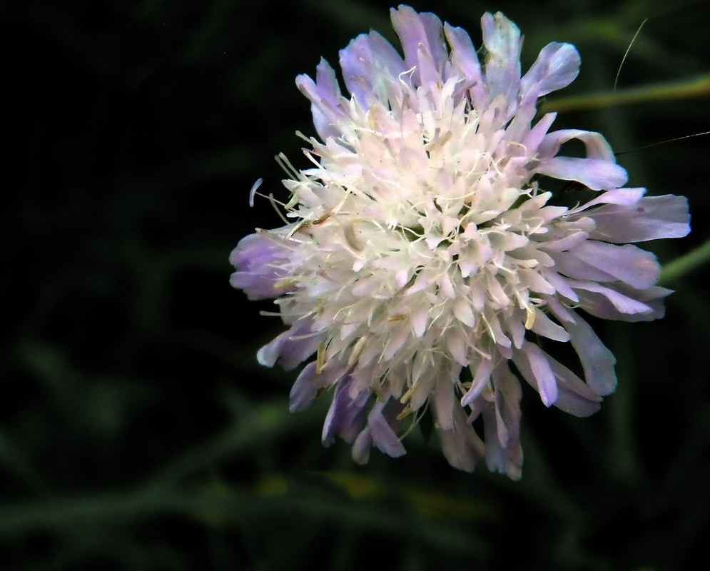 Фотографія Гламур / Роман Савоцький / photographers.ua