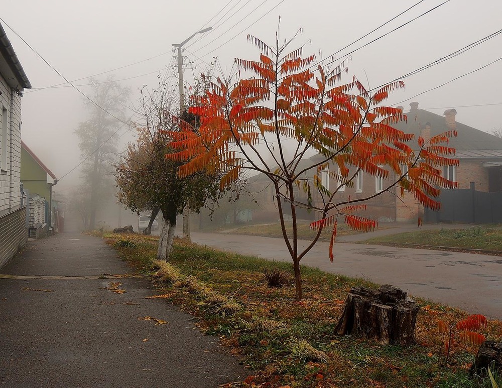 Фотографія Осень в провинции / Роман Савоцький / photographers.ua