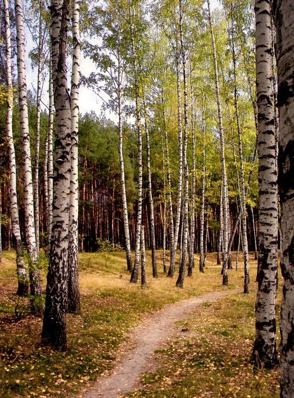 Фотографія Пейзаж / Роман Савоцький / photographers.ua