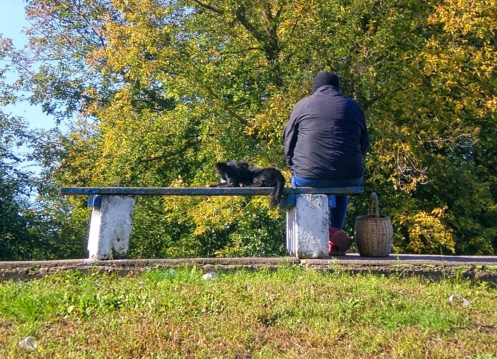Фотографія Разное / Роман Савоцький / photographers.ua