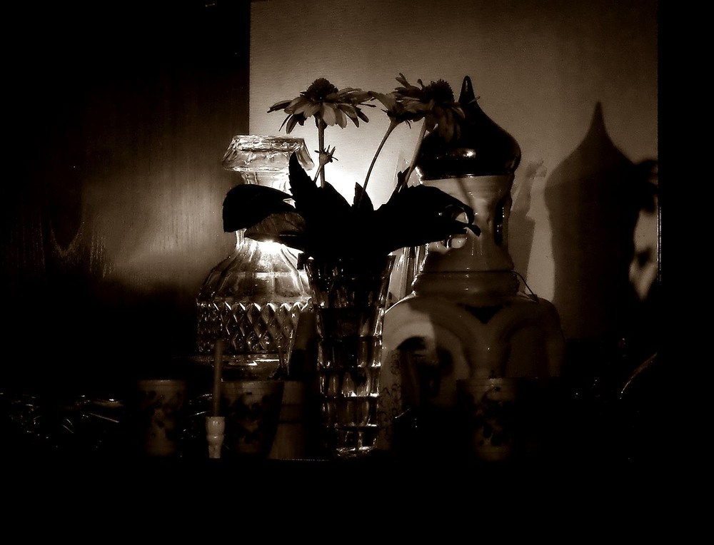 Фотографія ЧБ натюрморт / Роман Савоцький / photographers.ua