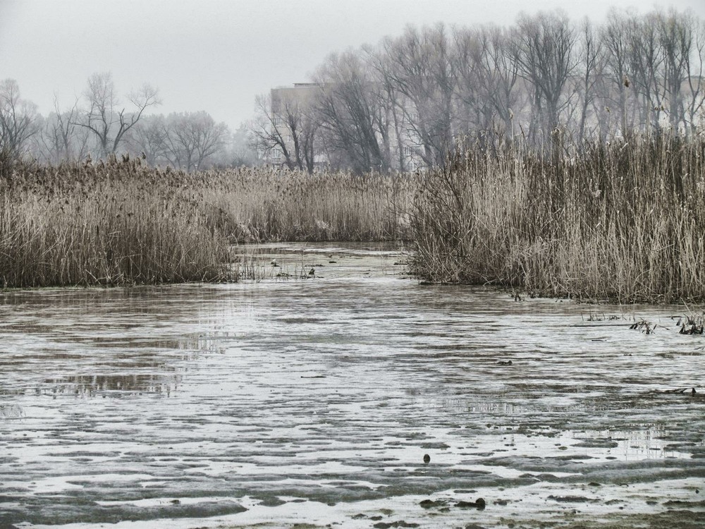Фотографія Весна / Роман Савоцький / photographers.ua