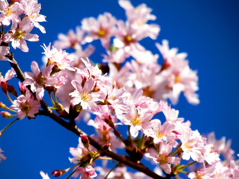 Фотографія Разное / Роман Савоцький / photographers.ua