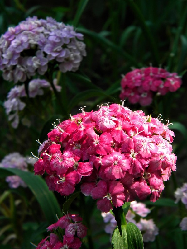 Фотографія Разное / Роман Савоцький / photographers.ua