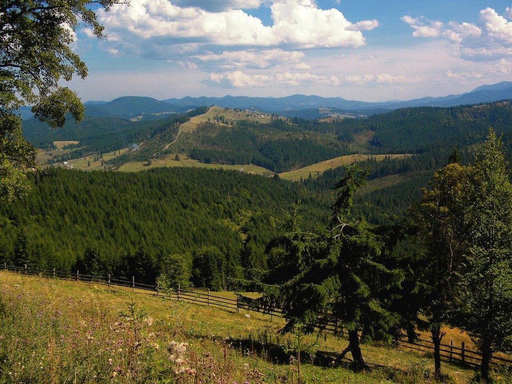 Фотографія Пейзаж / Роман Савоцький / photographers.ua