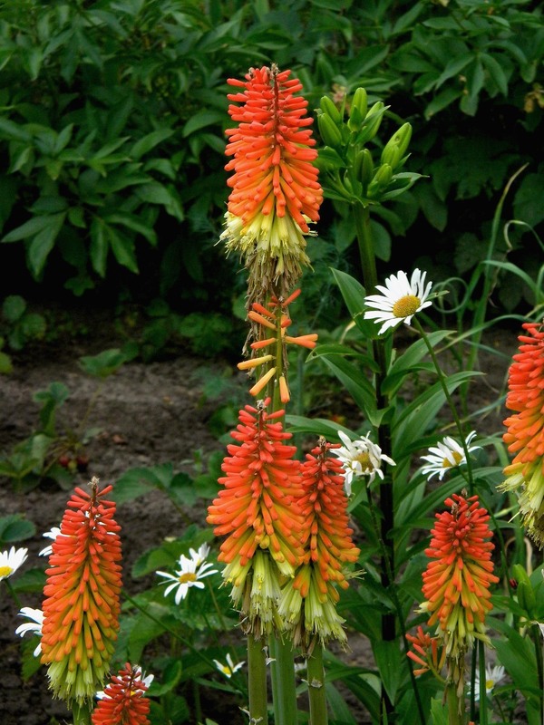 Фотографія Разное / Роман Савоцький / photographers.ua