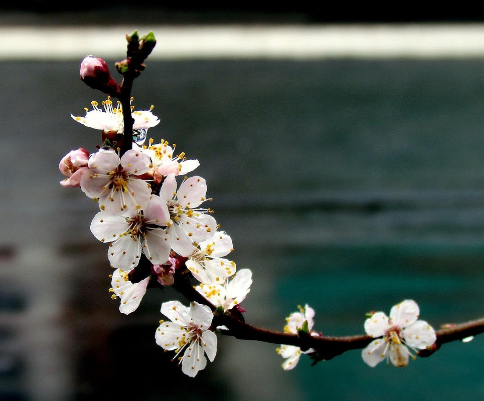 Фотографія Разное / Роман Савоцький / photographers.ua