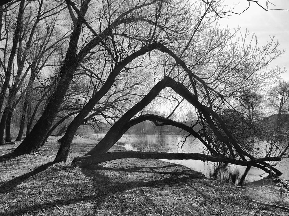 Фотографія Геометрия природы / Роман Савоцький / photographers.ua