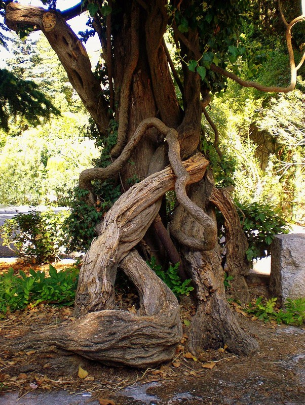 Фотографія Пейзаж / Роман Савоцький / photographers.ua