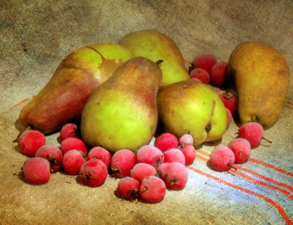 Фотографія Гламур / Роман Савоцький / photographers.ua