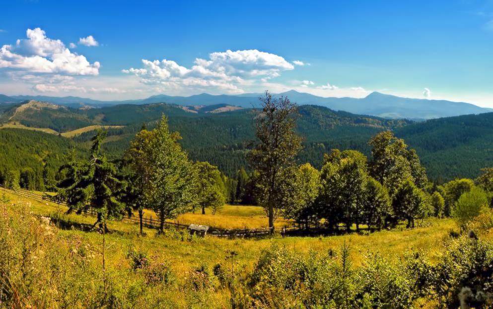 Фотографія Пейзаж / Роман Савоцький / photographers.ua