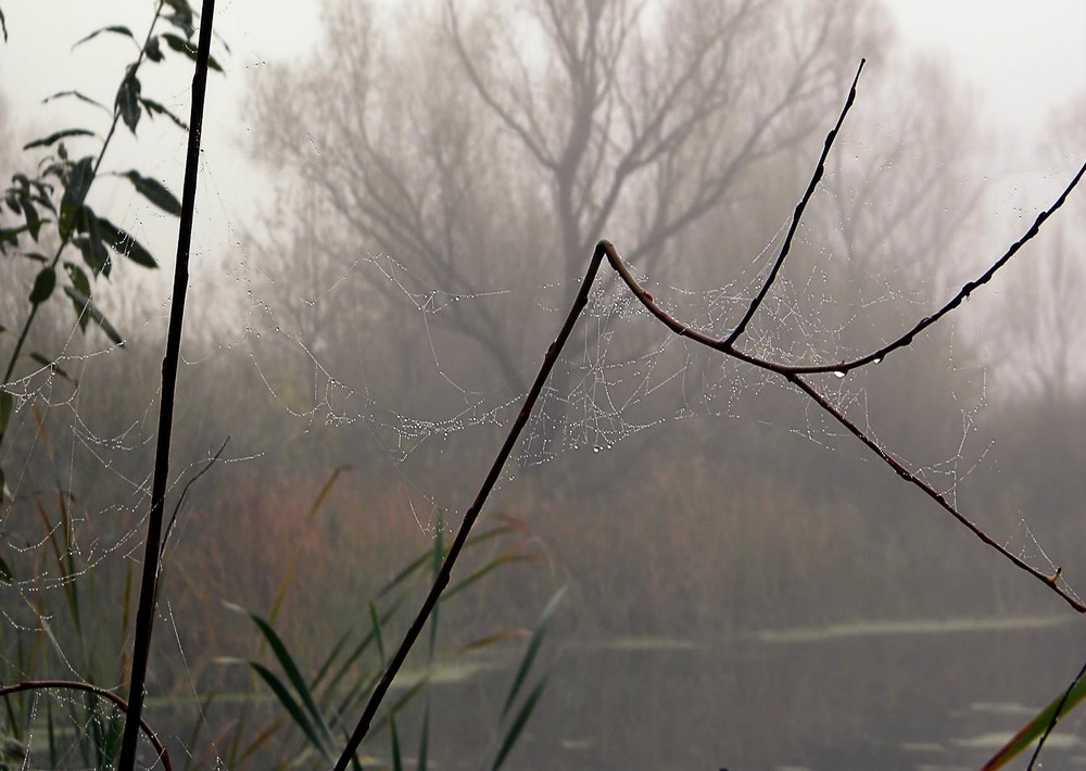 Фотографія Разное / Роман Савоцький / photographers.ua