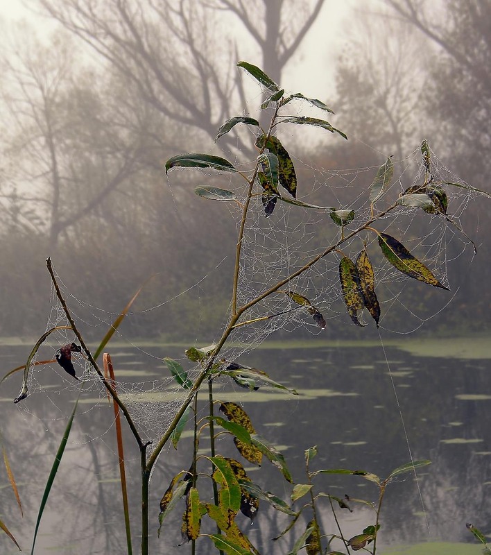 Фотографія Разное / Роман Савоцький / photographers.ua