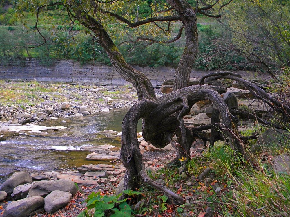 Фотографія Пейзаж / Роман Савоцький / photographers.ua