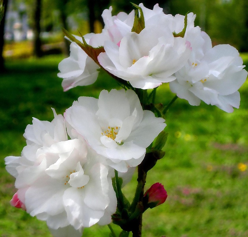 Фотографія Разное / Роман Савоцький / photographers.ua