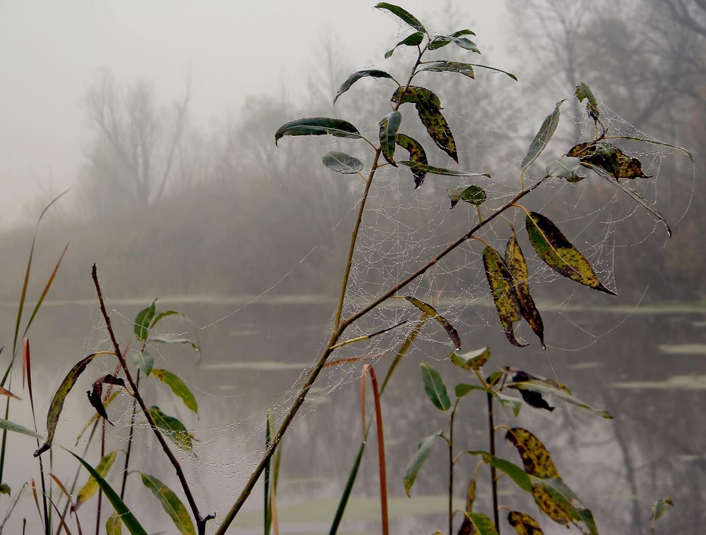 Фотографія Разное / Роман Савоцький / photographers.ua