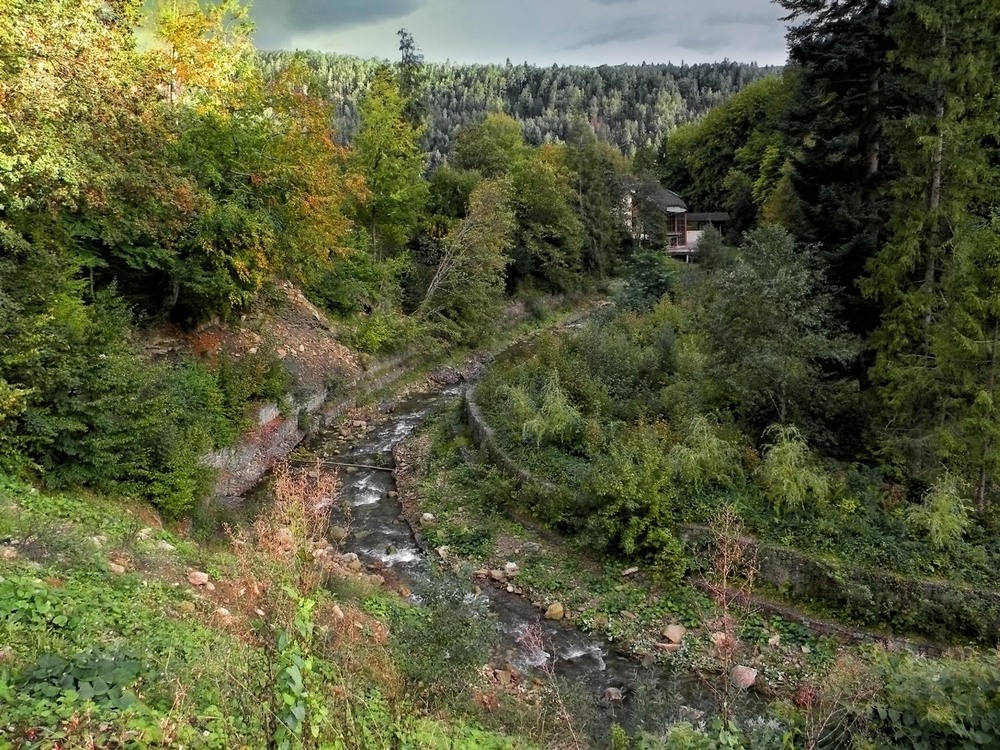Фотографія Пейзаж / Роман Савоцький / photographers.ua